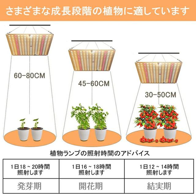植物育成ライト