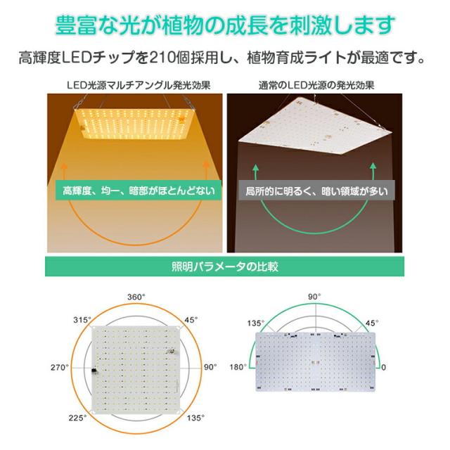 植物育成ライト
