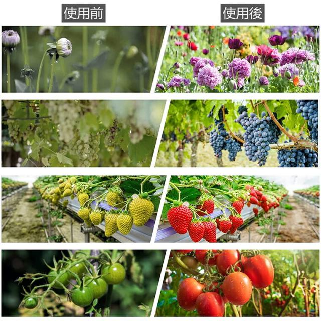 植物育成ライト