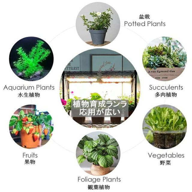 植物育成ライト