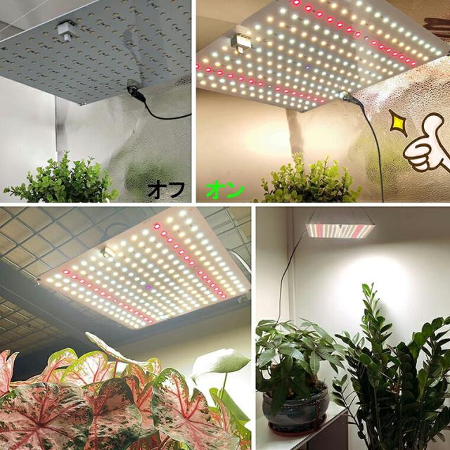 植物育成ライト