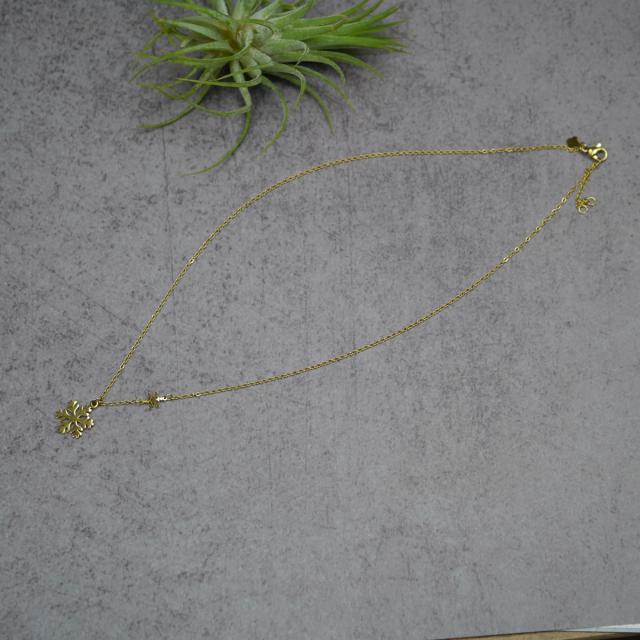 サージカルステンレス