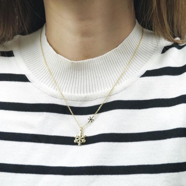 サージカルステンレス