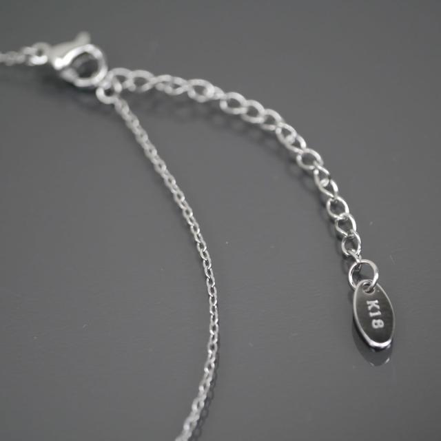 サージカルステンレス