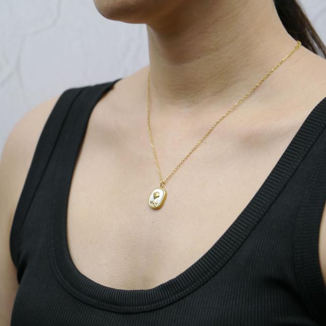 サージカルステンレス