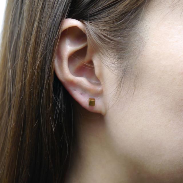 サージカルステンレス