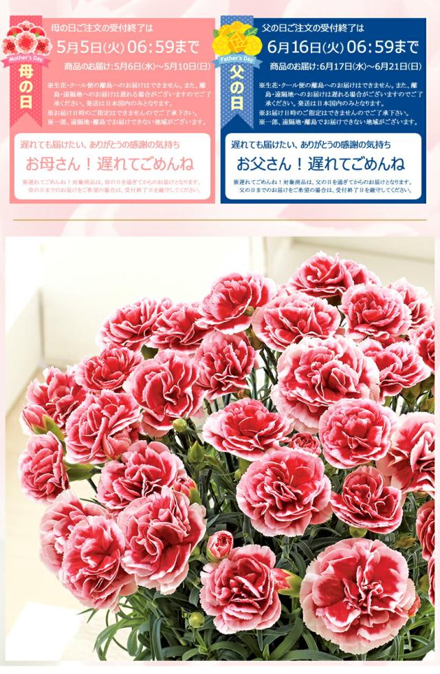 2026 母の日 父の日 北のデリシャス