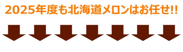 夕張メロン 2025 初競り