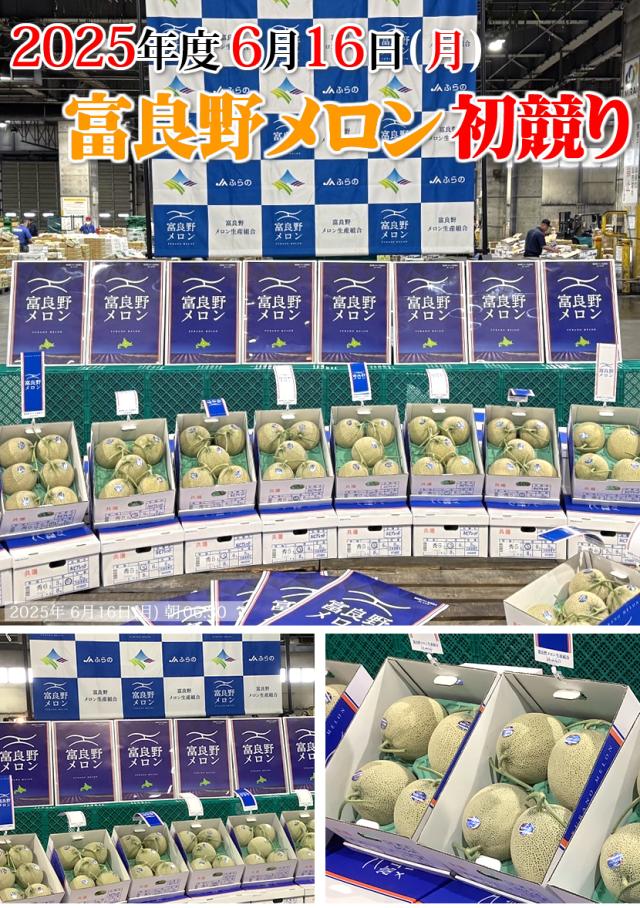 富良野メロン 2025 初競り