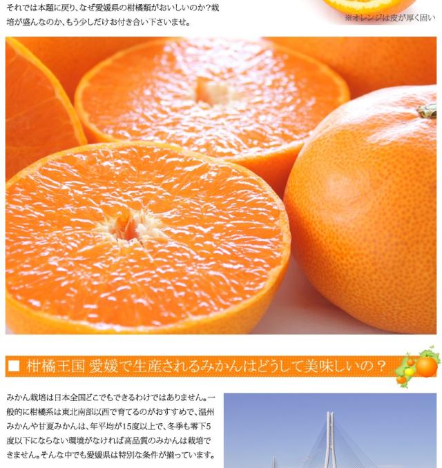 国産 みかん