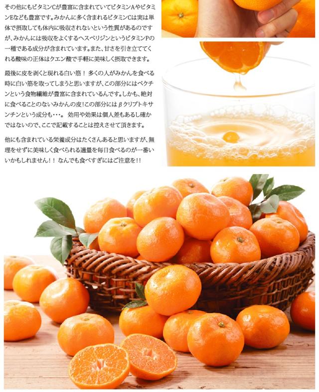 国産 みかん