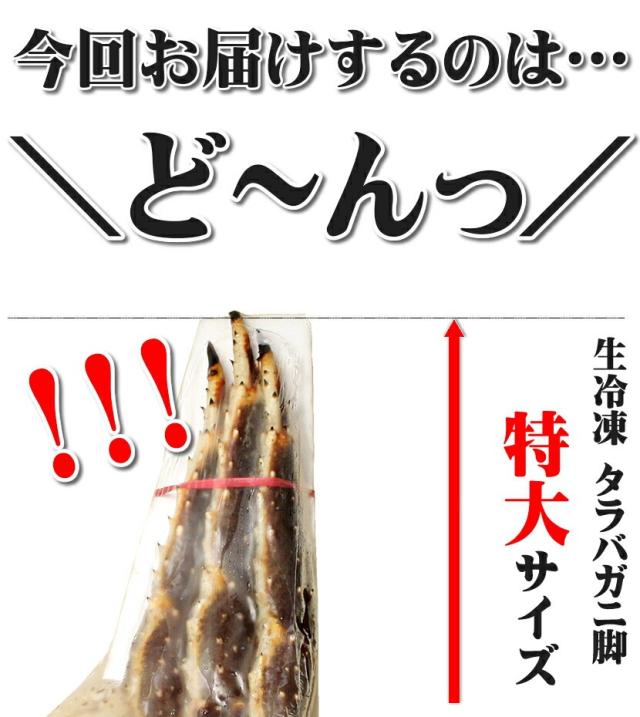 生 タラバガニ 脚