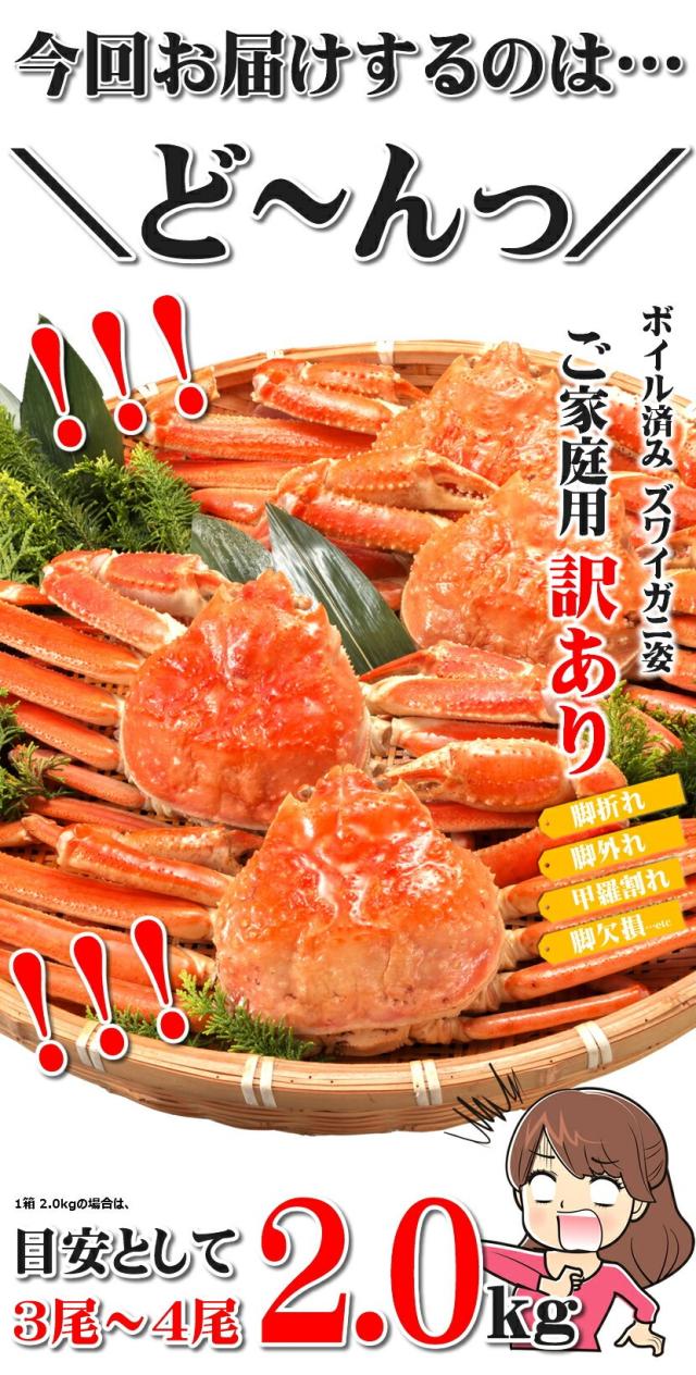 訳あり ズワイガニ