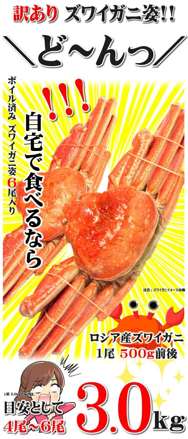 訳あり ズワイガニ