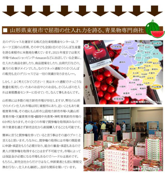 山形県産 UNAU 尾花沢すいか