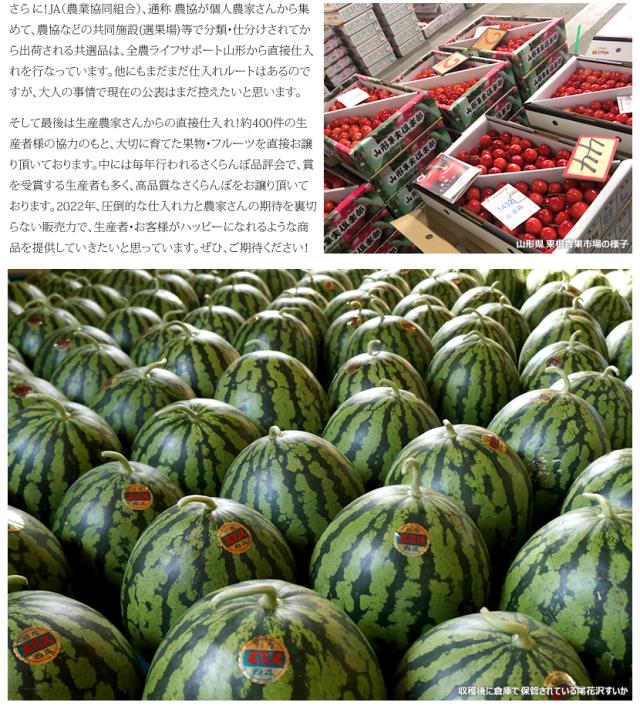 山形県産 UNAU 尾花沢すいか