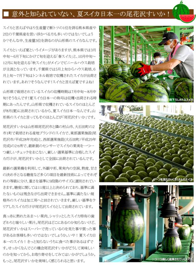 山形県産 UNAU 尾花沢すいか