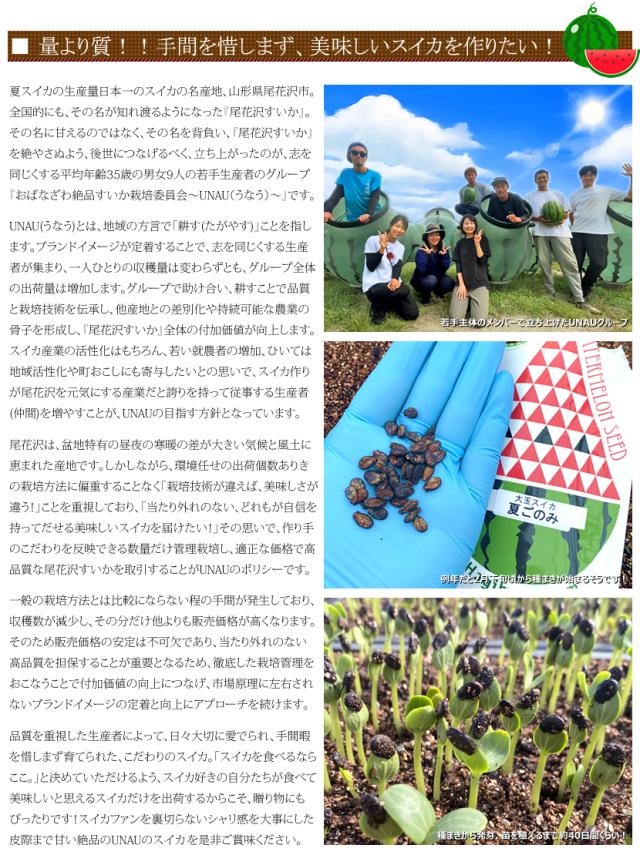 山形県産 UNAU 尾花沢すいか