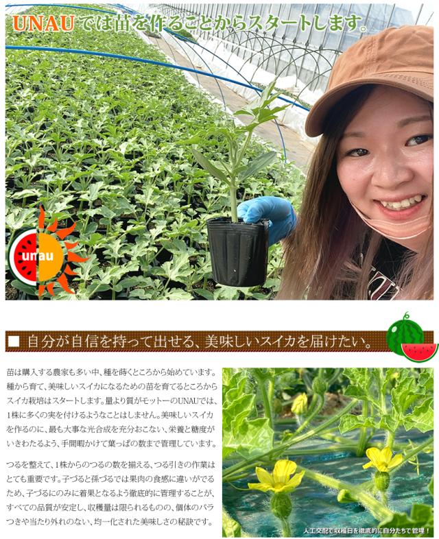 山形県産 UNAU 尾花沢すいか