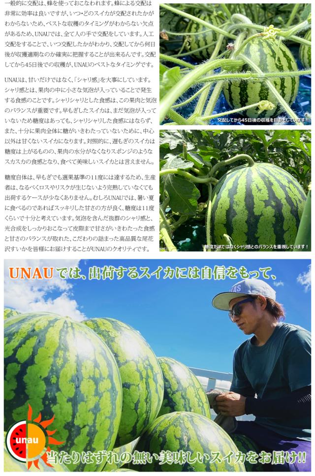 山形県産 UNAU 尾花沢すいか