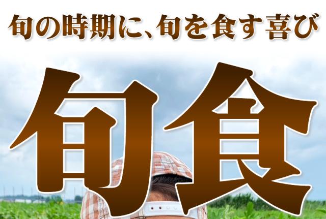山形県産 UNAU 尾花沢すいか