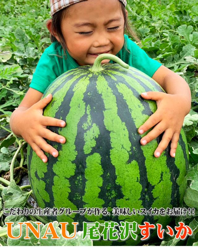 山形県産 UNAU 尾花沢すいか