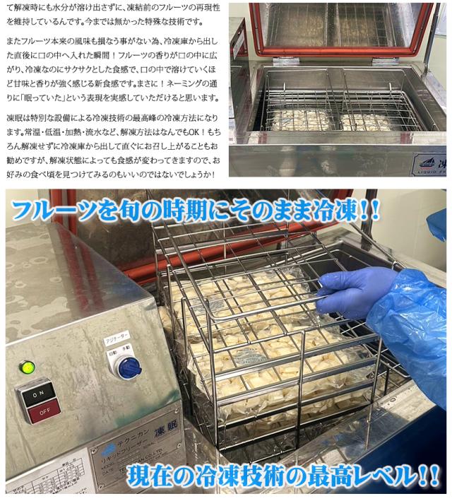 フローズンフルーツ FulFul フルフル