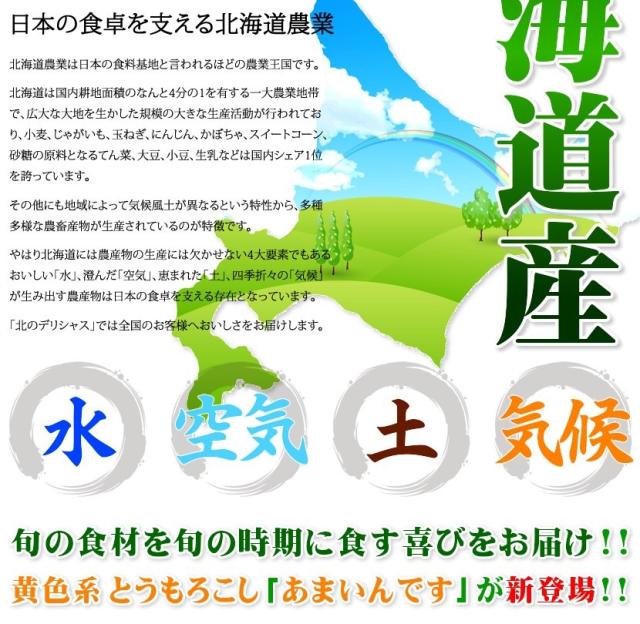 北海道産 南幌町とうもろこし あまいんです