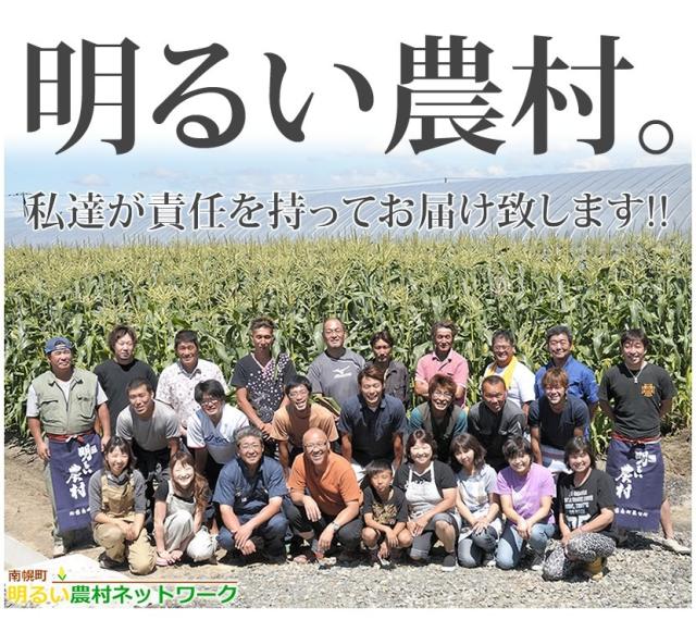北海道産 南幌町とうもろこし あまいんです