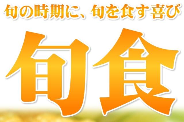北海道産 南幌町とうもろこし あまいんです