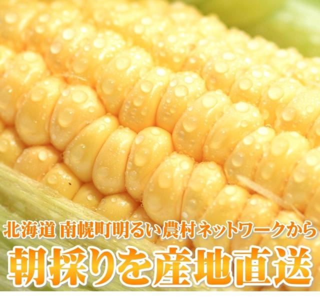 北海道産 南幌町とうもろこし あまいんです