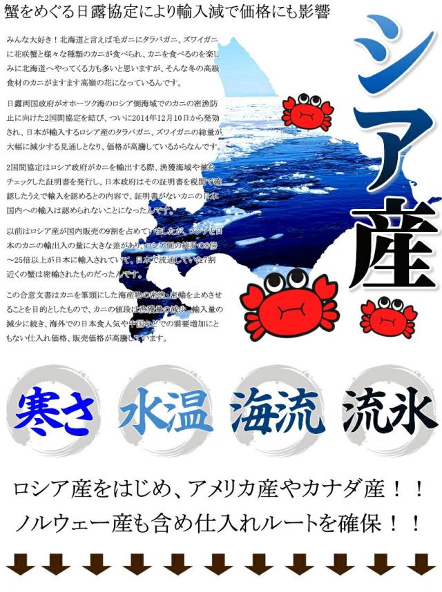 ズワイガニ脚 1箱 800g