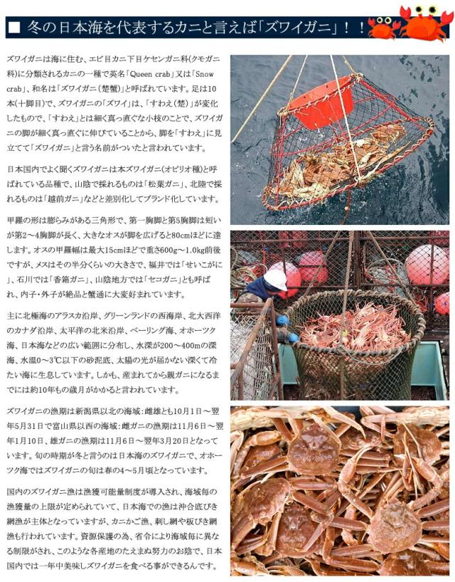 ズワイガニ 1箱 800g