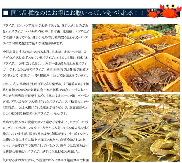 ズワイガニ 1箱 800g