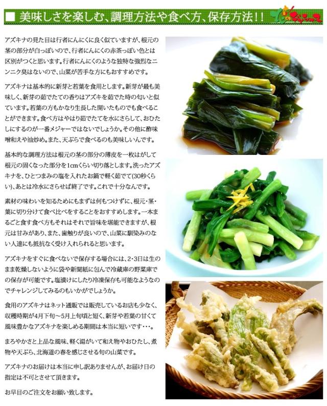 北海道産 山菜 アズキナ