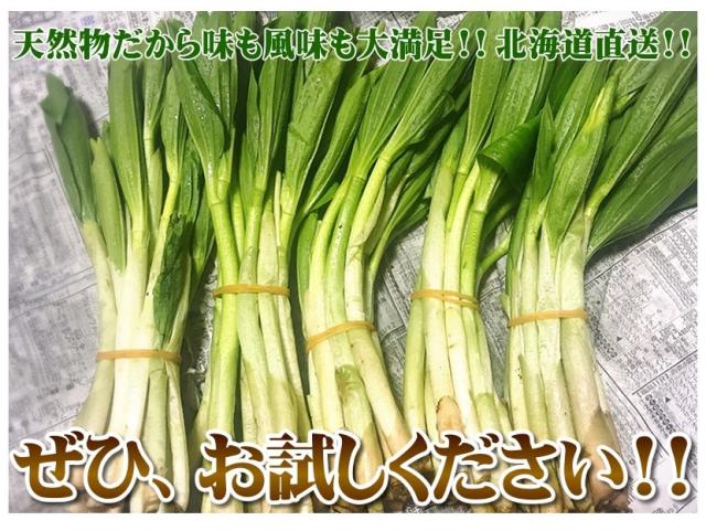 北海道産 山菜 アズキナ