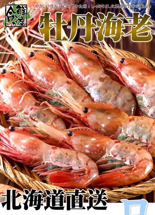 北海道 海老 ボタンエビ