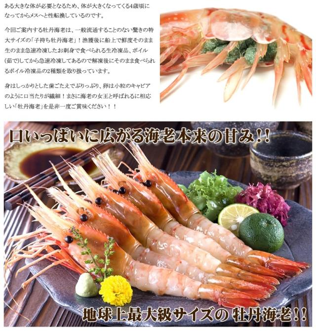 北海道 海老 ボタンエビ