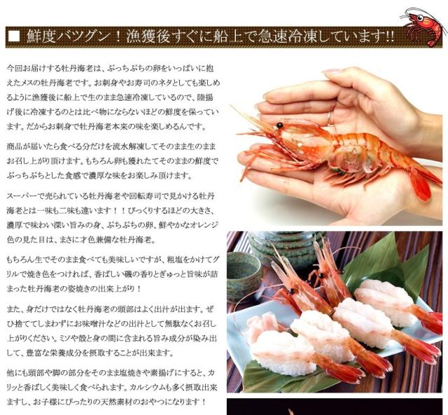 北海道 海老 ボタンエビ