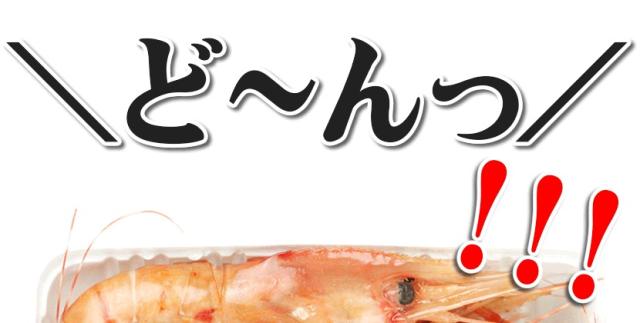 北海道 海老 ボタンエビ