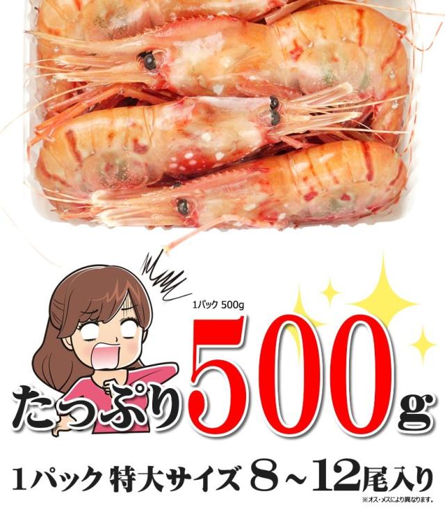 北海道 海老 ボタンエビ