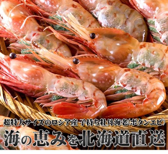 北海道 海老 ボタンエビ