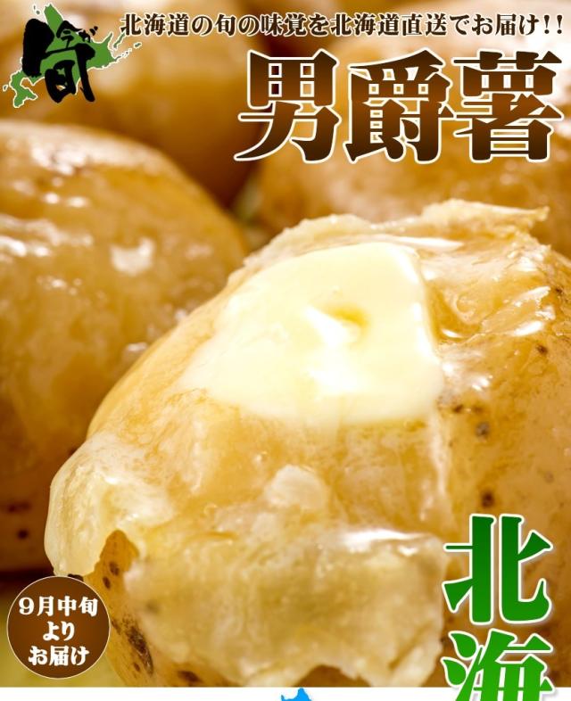 北海道産 じゃがいも 男爵薯