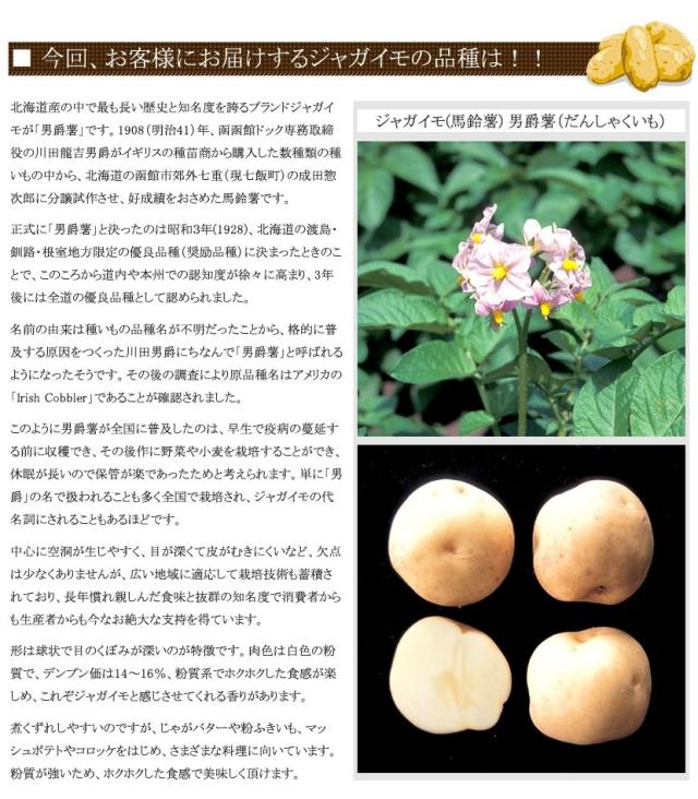 北海道産 じゃがいも 男爵薯
