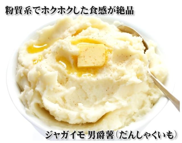 北海道産 じゃがいも 男爵薯