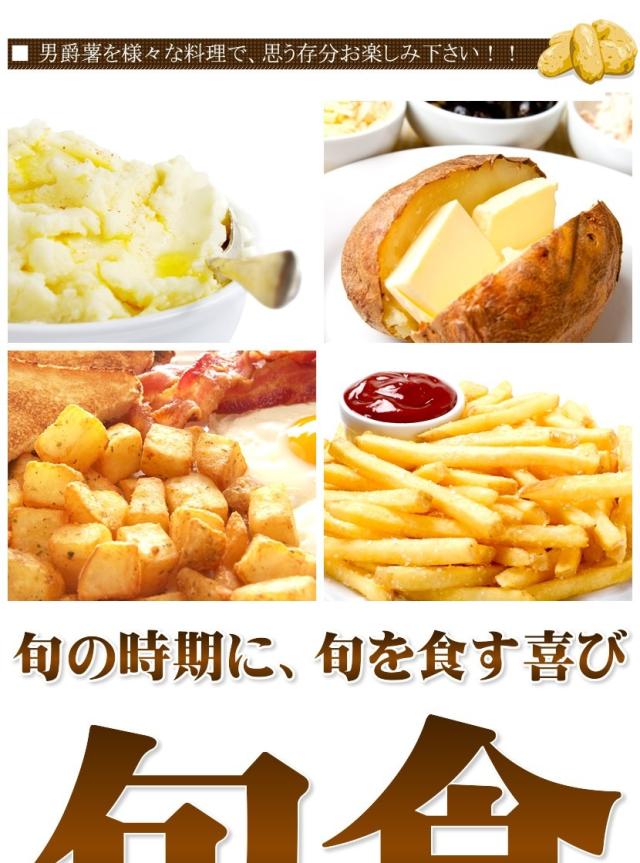 北海道産 じゃがいも 男爵薯