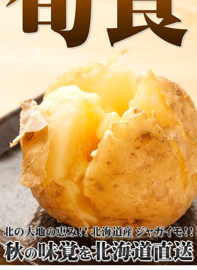 北海道産 じゃがいも 男爵薯