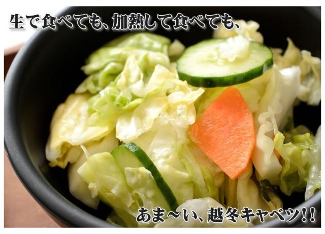 北海道産 キャベツ 越冬キャベツ