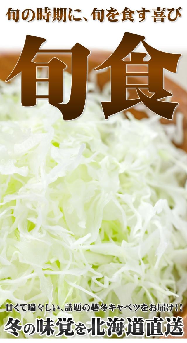 北海道産 キャベツ 越冬キャベツ