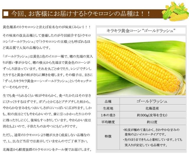 北海道産とうもろこし ゴールドラッシュ